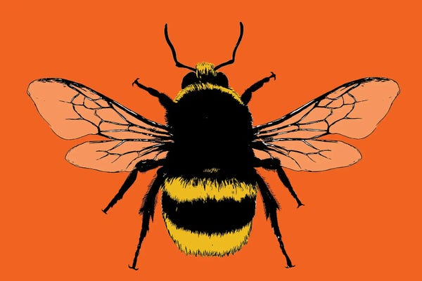 Gary Hogben: Bee Mine - Orange by Gary Hogben