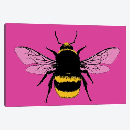 Bee Mine - Pink Canvas Print #GHO107} by Gary Hogben Canvas Wall Art