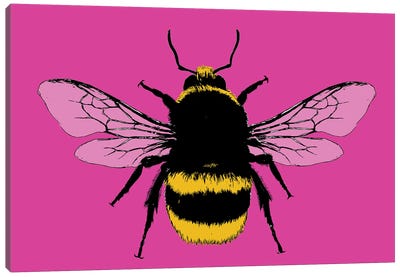 Bee Mine - Pink Canvas Art Print - Gary Hogben