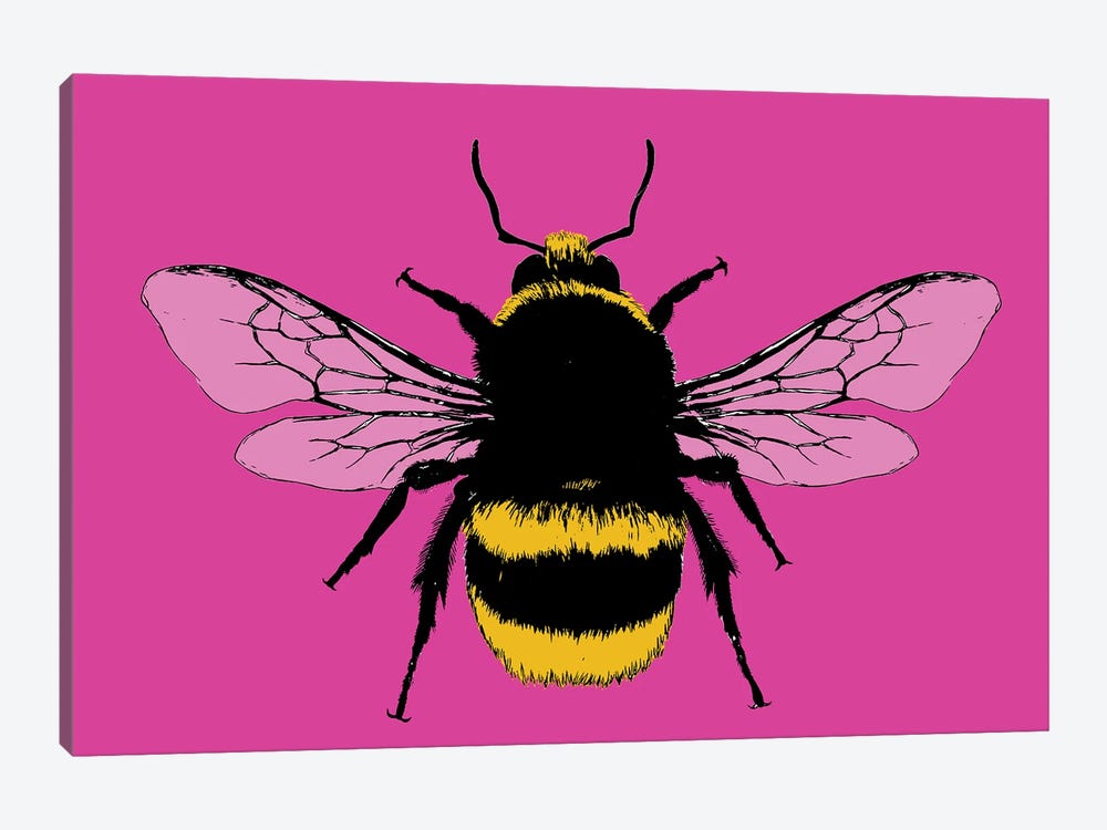 Bee Mine - Pink by Gary Hogben 1-piece Canvas Art Print