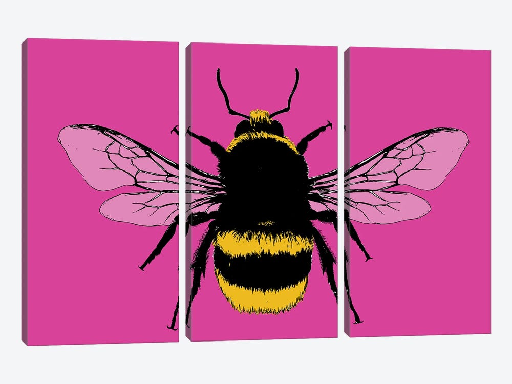 Bee Mine - Pink by Gary Hogben 3-piece Canvas Print