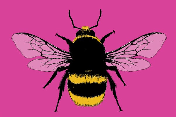 Gary Hogben: Bee Mine - Pink by Gary Hogben