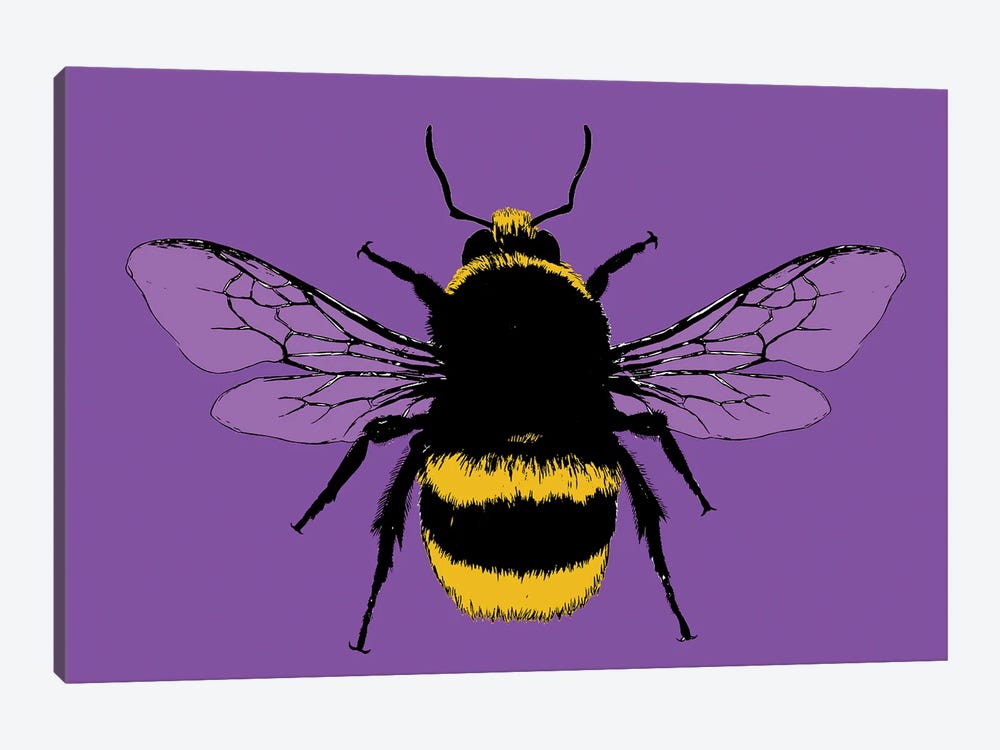 Bee Mine - Purple by Gary Hogben 1-piece Canvas Artwork