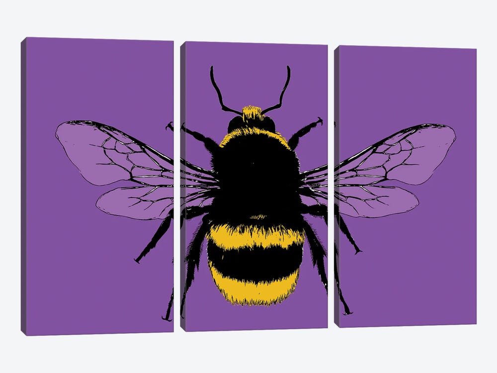 Bee Mine - Purple by Gary Hogben 3-piece Canvas Wall Art