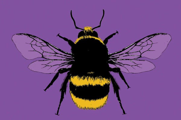 Gary Hogben: Bee Mine - Purple by Gary Hogben