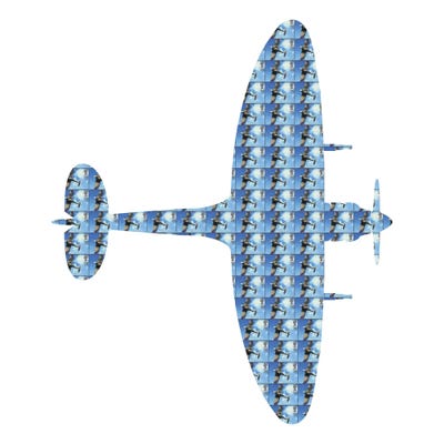 spitfire by Gary Hogben multi panel art