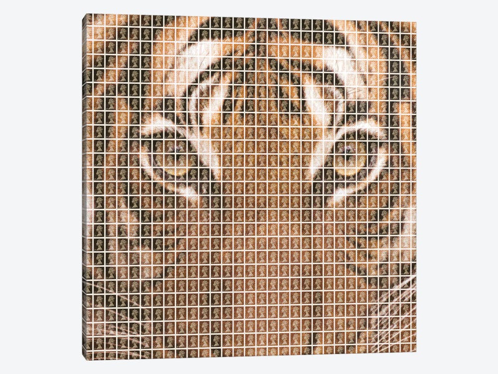 Tiger by Gary Hogben 1-piece Canvas Art Print