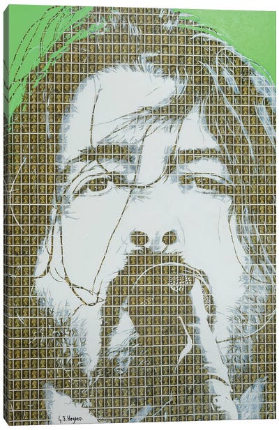 Dave Grohl Canvas Art Print - Foo Fighters