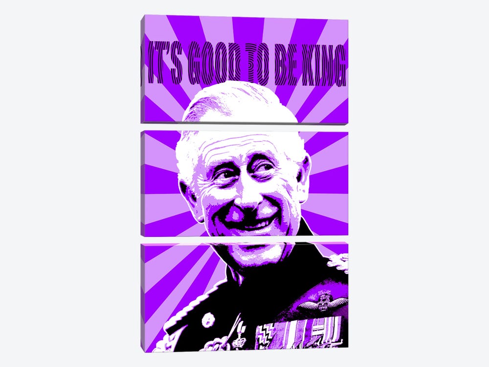 It's Good To Be King - Purple by Gary Hogben 3-piece Canvas Wall Art