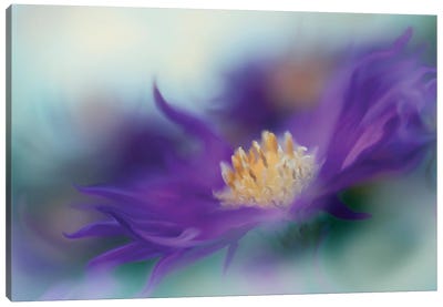 Gold & Purple in the Mist I Canvas Art Print