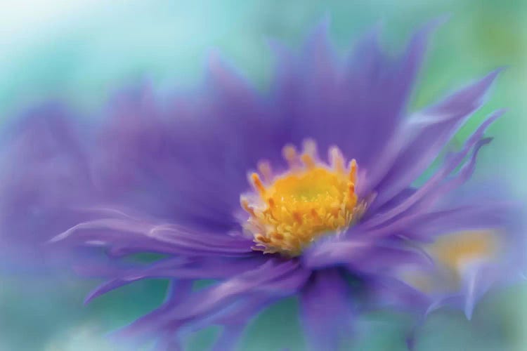 Gold & Purple in the Mist V by Gillian Hunt wall art