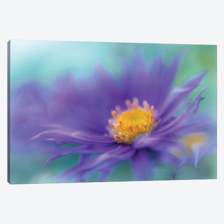 Gold & Purple in the Mist V Canvas Print #GIH13} by Gillian Hunt Canvas Art