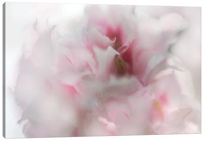 Hope in Pink I Canvas Art Print