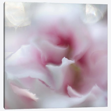 Hope in Pink III Canvas Print #GIH16} by Gillian Hunt Canvas Print