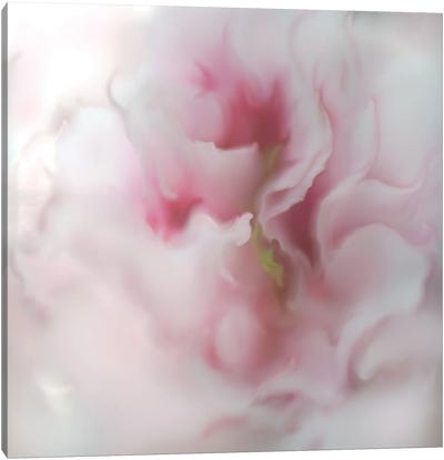 Hope in Pink IV Canvas Art Print