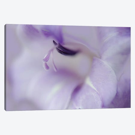 A Gift in Purple I Canvas Print #GIH7} by Gillian Hunt Canvas Art