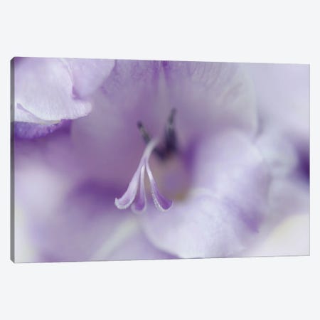 A Gift in Purple II Canvas Print #GIH8} by Gillian Hunt Canvas Print