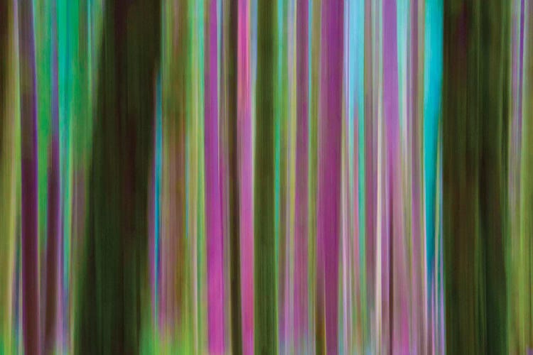 Abstract Of Hoh Rainforest At Dusk, Olympic National Park, Washington, USA by Gilles Delisle wall art