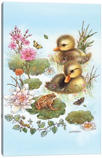 Mallard Hatchlings Canvas Art Print - Duck Art