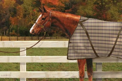 Chestnut In The Field by Giordano Studios art print