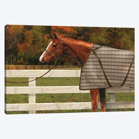 Chestnut In The Field Canvas Print #GIO111} by Giordano Studios Canvas Wall Art
