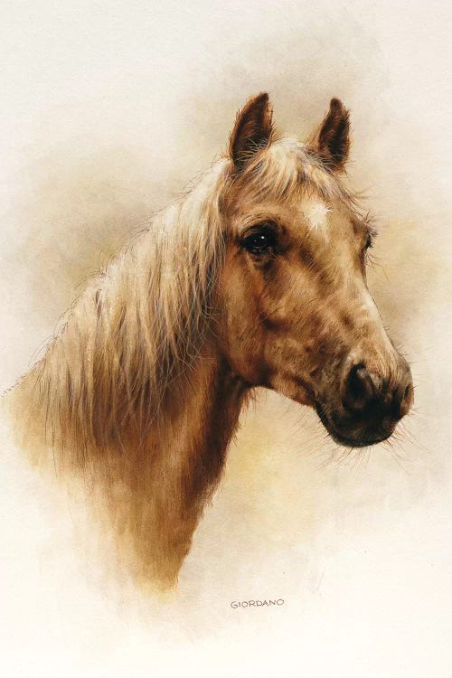 Dixie by Giordano Studios  wall art