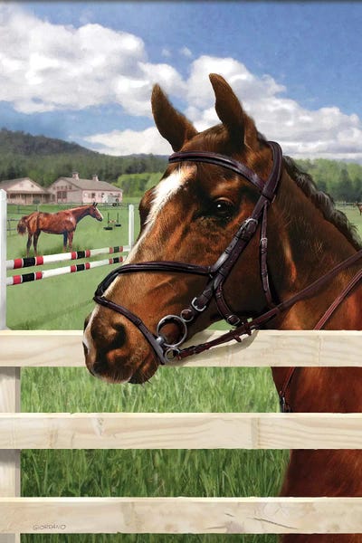 Fella At The Fence by Giordano Studios art print