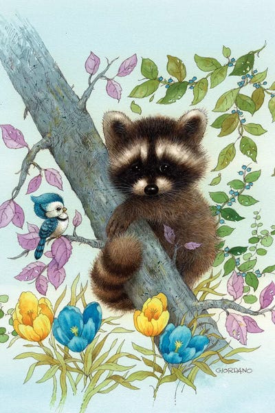 Raccoon On A Limb by Giordano Studios art print