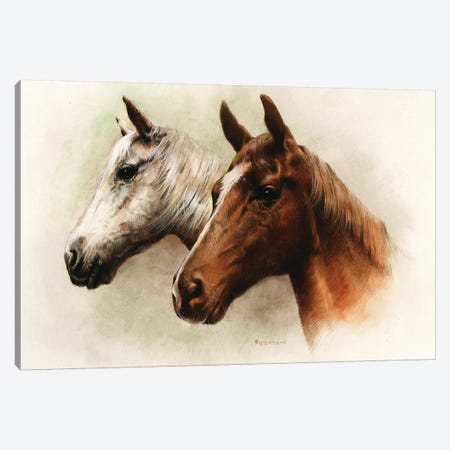 Portrait Of Our Duo Canvas Print #GIO122} by Giordano Studios Art Print