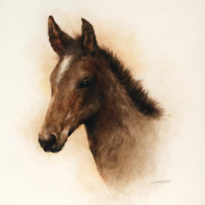 Tomboy by Giordano Studios art print