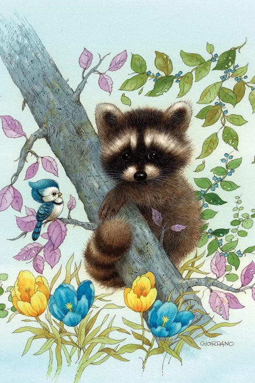 Raccoon On A Limb