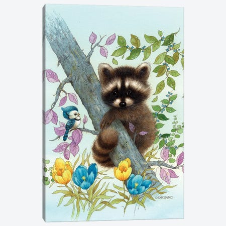 Raccoon On A Limb Canvas Print #GIO12} by Giordano Studios Canvas Print