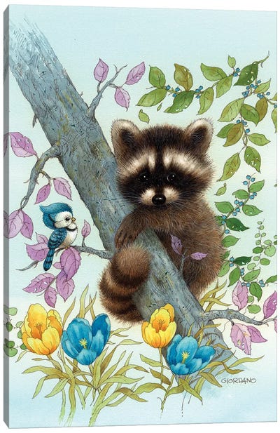 Raccoon On A Limb Canvas Art Print - Raccoon Art