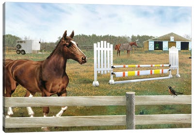 Workout For Winnie Canvas Art Print - Equestrian Art