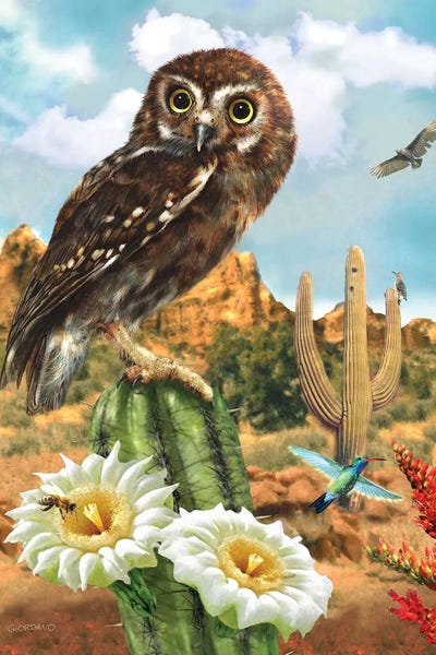 Owls: Elf In The Cacti by Giordano Studios