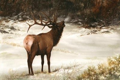 Elk Calling by Giordano Studios art print