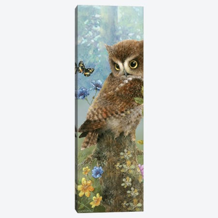 Owl In The Meadow Canvas Print #GIO151} by Giordano Studios Canvas Wall Art