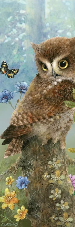 Owl In The Meadow by Giordano Studios wall art