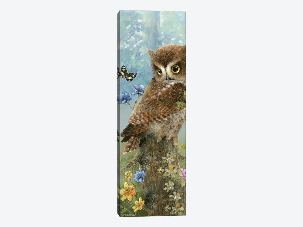Owl In The Meadow by Giordano Studios 1-piece Canvas Print