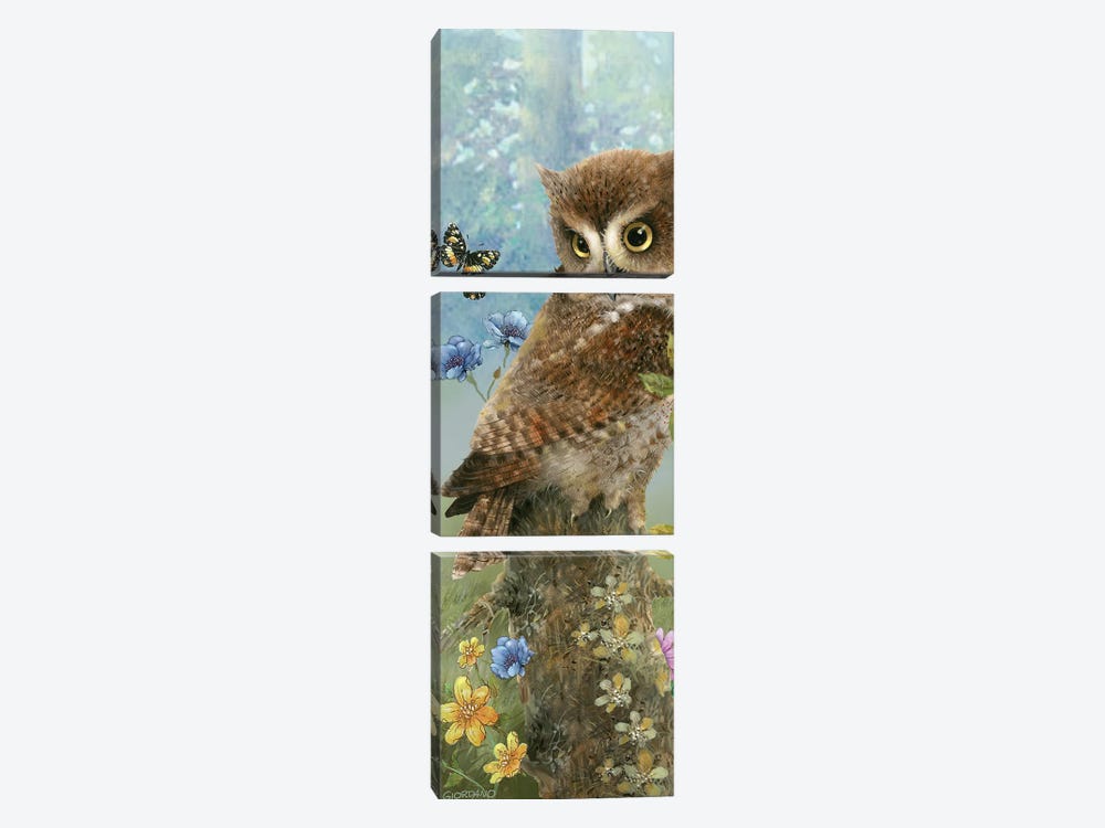 Owl In The Meadow 3-piece Canvas Art Print
