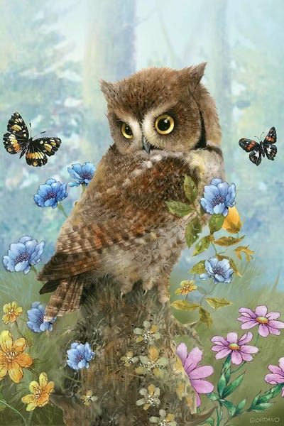 Owl In The Meadow by Giordano Studios art print
