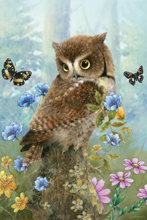 Owl In The Meadow