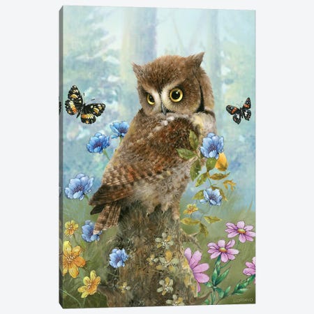 Owl In The Meadow Canvas Print #GIO152} by Giordano Studios Canvas Artwork