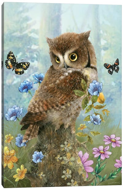 Owl In The Meadow Canvas Art Print - Giordano Studios