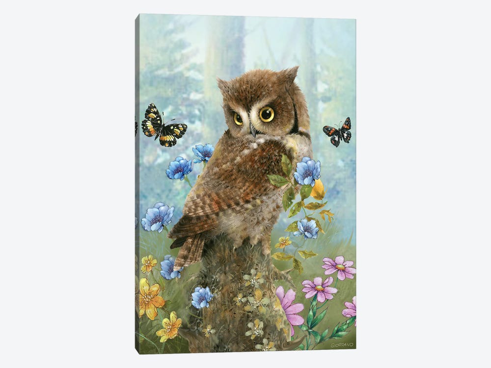 Owl In The Meadow by Giordano Studios 1-piece Canvas Art