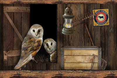 Up In The Rafters by Giordano Studios art print