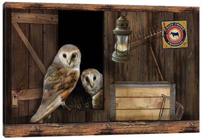 Up In The Rafters Canvas Art Print - Giordano Studios
