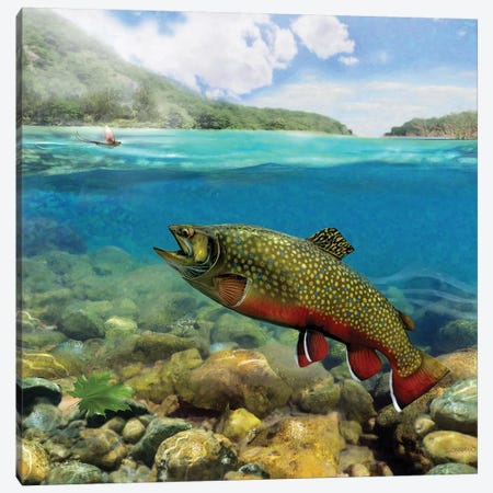 Brookie On The Riffle Canvas Print #GIO159} by Giordano Studios Canvas Wall Art