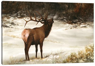 Elk Calling Canvas Art Print - Rustic Winter