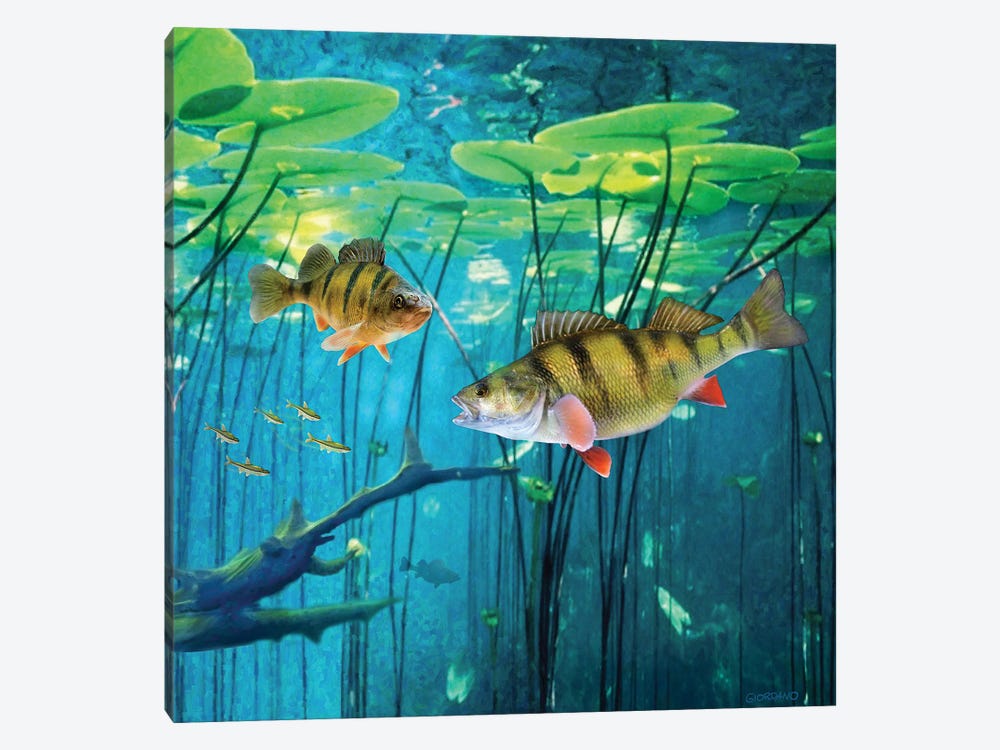 Under The Lily Pads by Giordano Studios 1-piece Canvas Art Print